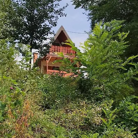 Weekend House Positive Energy *
